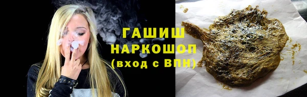 хмурый Арсеньев