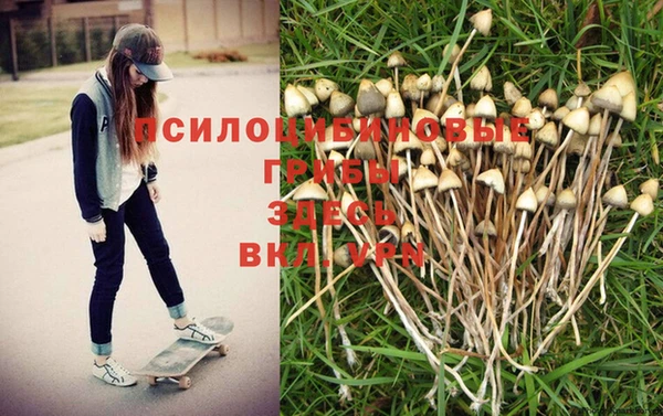 хмурый Арсеньев