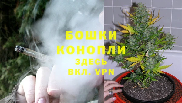 бошки Алзамай
