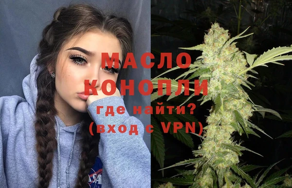 хмурый Арсеньев